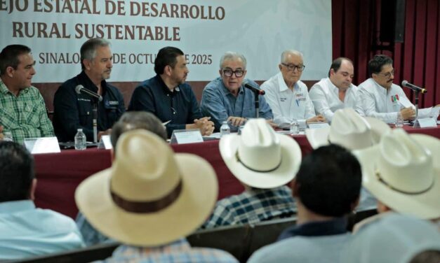 Sinaloa aprueba plan de siembra otoño–invierno 2025-2026 con más de 659 mil hectáreas cultivadas.