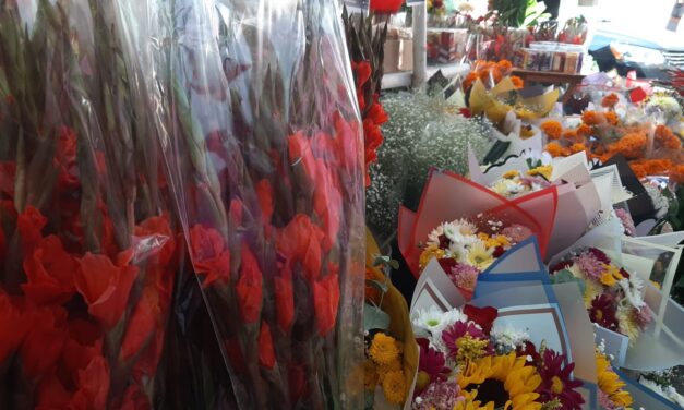 Guasave blindará la venta de flores para el Día de Muertos: fuera los “golondrinos”