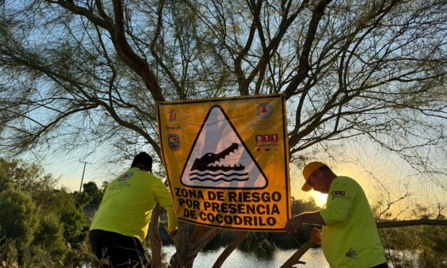 Protección Civil emite alerta por avistamiento de cocodrilo en laguna de Caricitos-Palos Verdes.