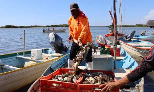 Rocha anuncia pago del Bienpesca estatal y compromisos con pescadores y comunidades