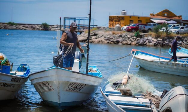 Sinaloa se posiciona entre los estados con mayor crecimiento económico del país