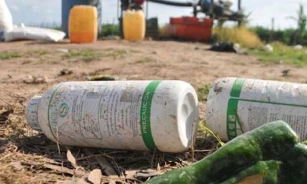 Llaman a evitar contaminación por envases de agroquímicos en el valle de Culiacán