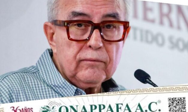 Gobierno de Sinaloa desconoce empadronadoras y advierte acciones contra vehículos con placas apócrifas