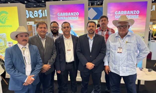 Garbanzo sinaloense se posiciona como producto premium en la Expo Gulfood Dubai 2026