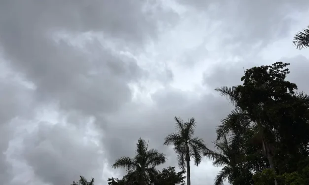 Clima hoy en Sinaloa: Ambiente fresco con nubosidad variable y ligeras lloviznas en Guasave