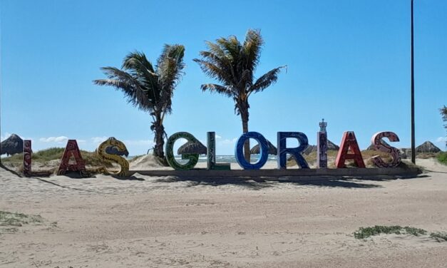 Servicios públicos y perros callejeros, un riesgo sanitario en Playa Las Glorias y Boca del Río