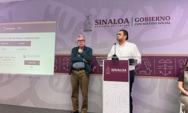 Avanza pago de apoyo extraordinario a productores de trigo en Sinaloa