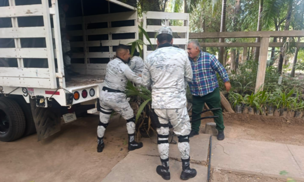 Guasave impulsa reforestación con donación de plantas a la Guardia Nacional