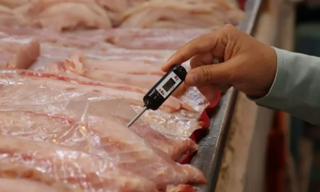 Coepriss refuerza vigilancia sanitaria por temporada de Semana Santa