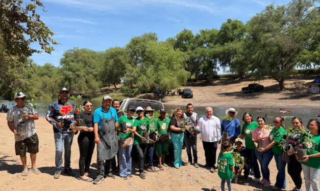 Impulsan adopción de ceibas y limpieza del río Sinaloa en Semana Santa en Guasave