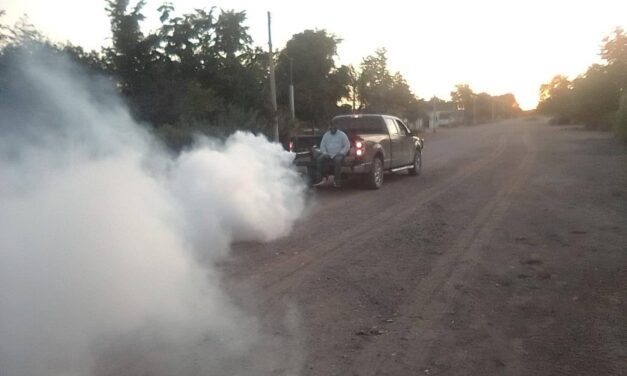 Refuerzan fumigación en comunidades para prevenir enfermedades transmitidas por mosquitos