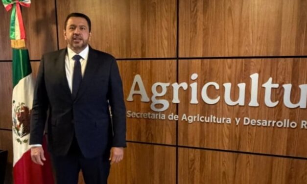 Reabre ventanilla para pagos a productores de maíz en Sinaloa; buscan completar cobertura al 100%