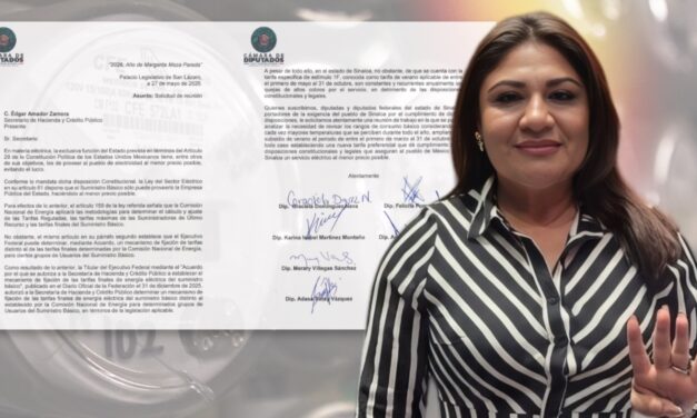 Felicita Pompa lleva a Hacienda demanda de sinaloenses por altos cobros de energía eléctrica