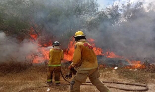Voraz incendio consume finca y maleza en la ribera del río Sinaloa en Guasave
