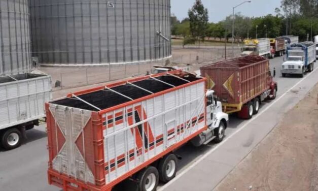 Comienzan pagos a productores de maíz en Sinaloa; ingresos superan los 6 mil pesos por tonelada con apoyos gubernamentales