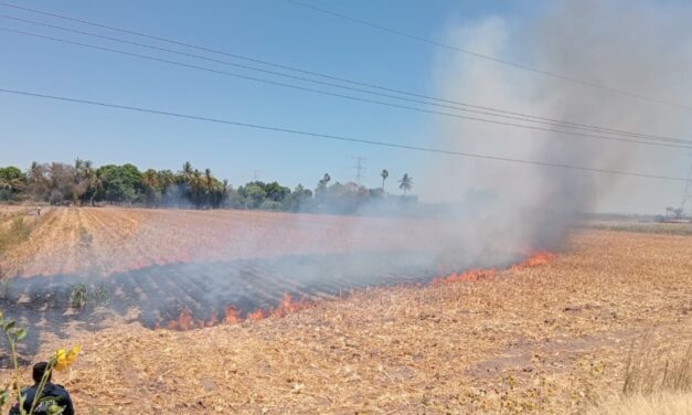 Aplican primera multa del año por quema de soca en Guasave; refuerzan acciones preventivas