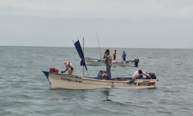 PESCADORES DE GUASAVE ALERTAN QUE AUMENTO EN PERMISOS DE CAPTURA PONE EN RIESGO A LAS COOPERATIVAS