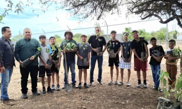FORTALECE AYUNTAMIENTO DE GUASAVE LA REFORESTACIÓN DE ESPACIOS PÚBLICOS EN LAS BRISAS