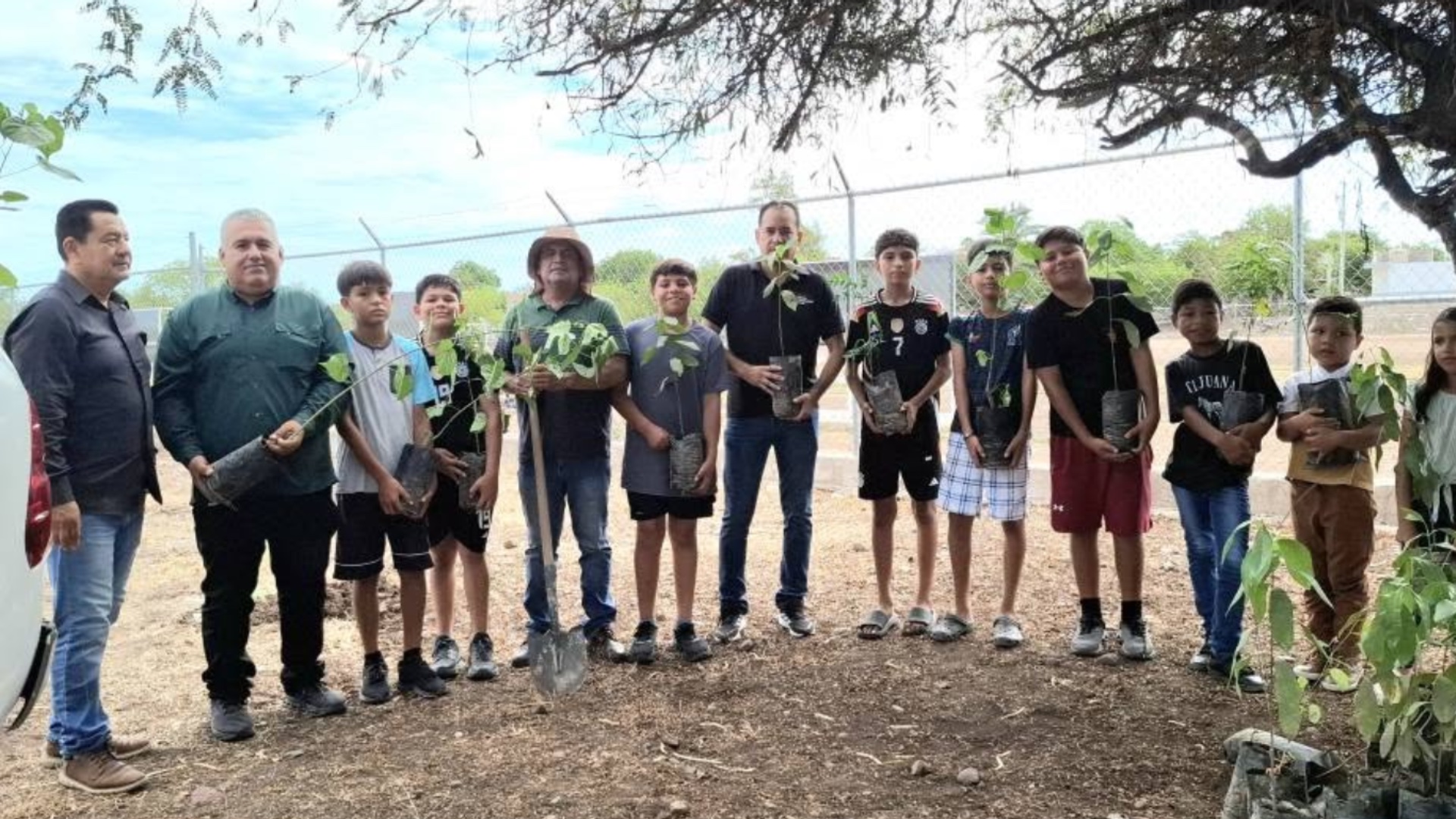 reforestacion