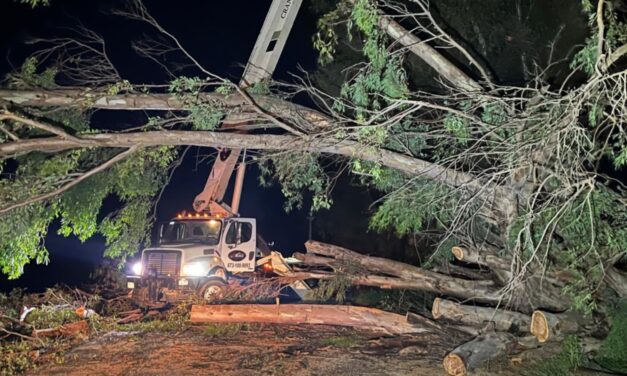 Tormenta deja árboles, postes y daños en comunidades de Guasave; Protección Civil mantiene operativo