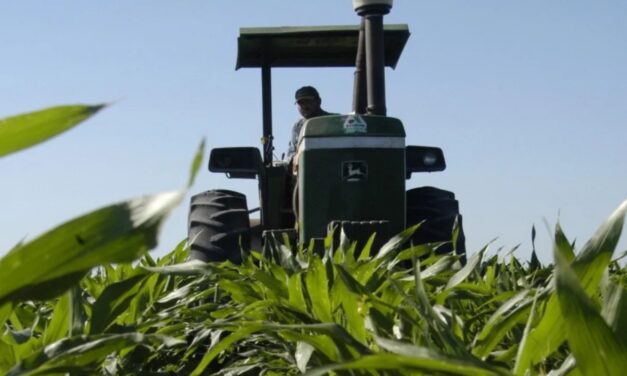 Productores preparan plantón en Sader Guasave por apoyos pendientes