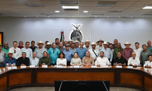 Anuncian apoyo para productores de trigo de hasta 20 hectáreas en Sinaloa
