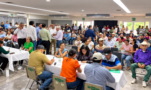 SADER refuerza atención para entregar apoyos pendientes a productores de maíz