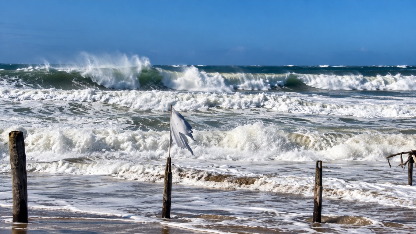 olas