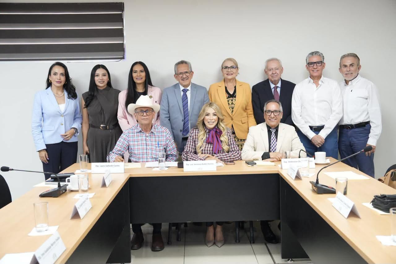 diputados