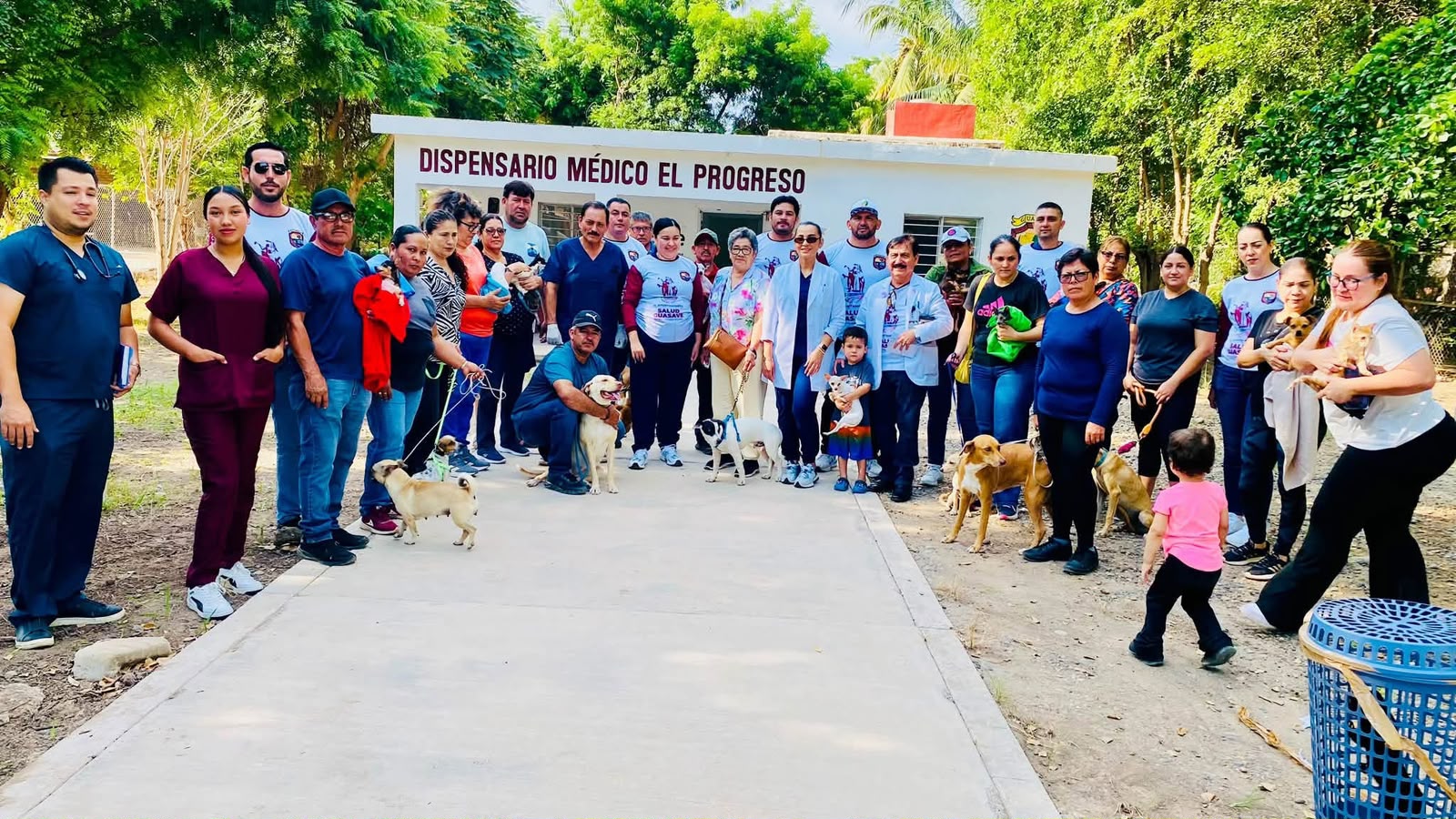 esterilisacion de perros